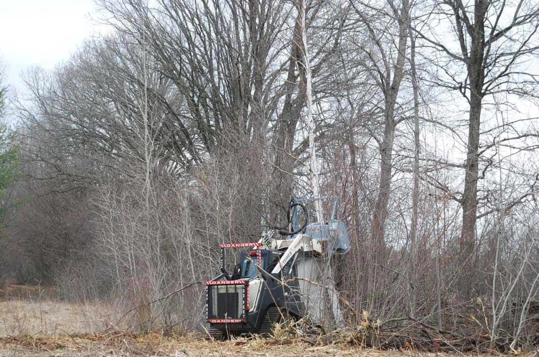 Baumalight MS548 Skid Steer Forestry Mulcher | 48" Brush Mulcher Attachment