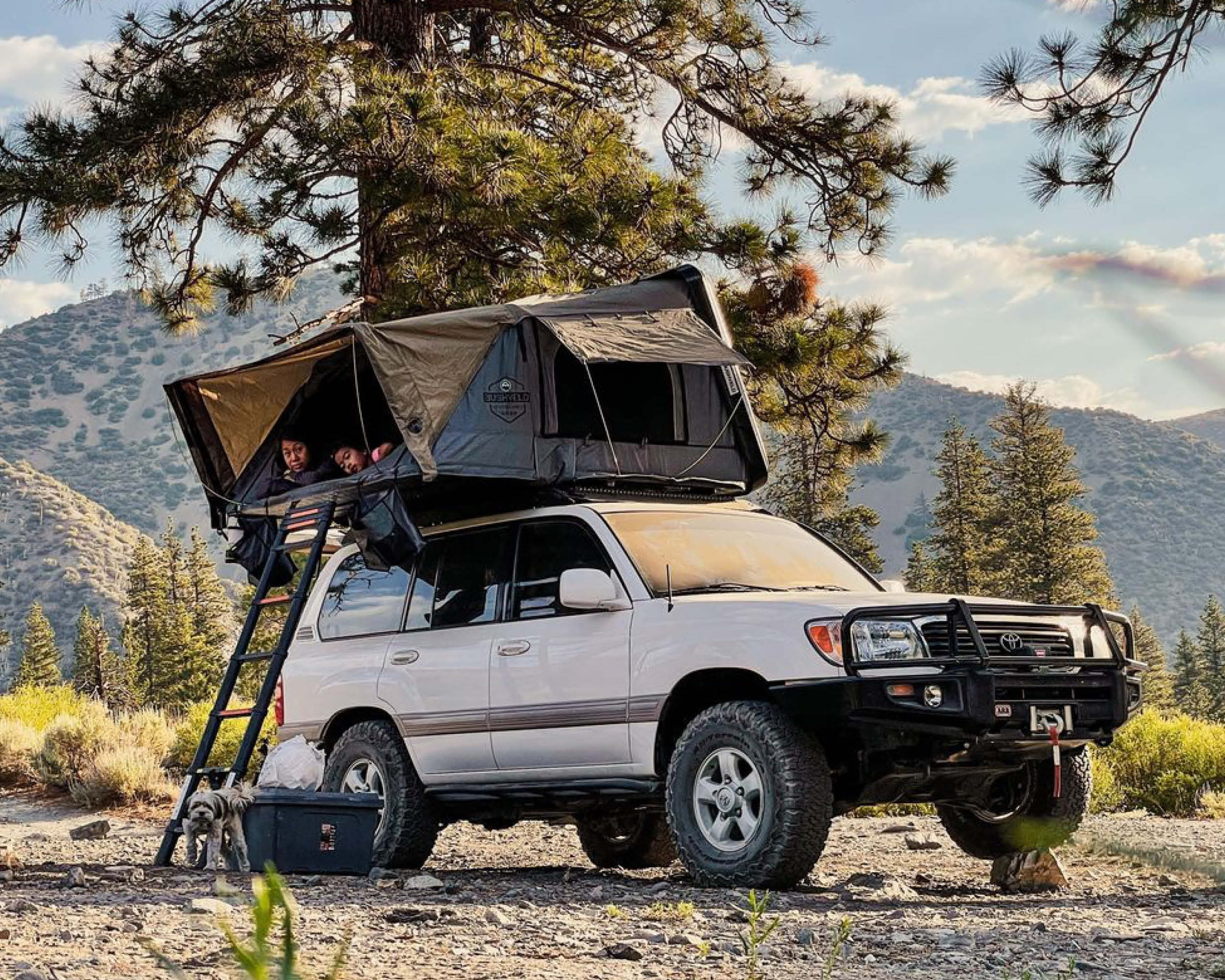 OVS HD Bushveld 4 Person Cantilever Hard Shell Roof Top Tent Grey Body & Tan Rainfly