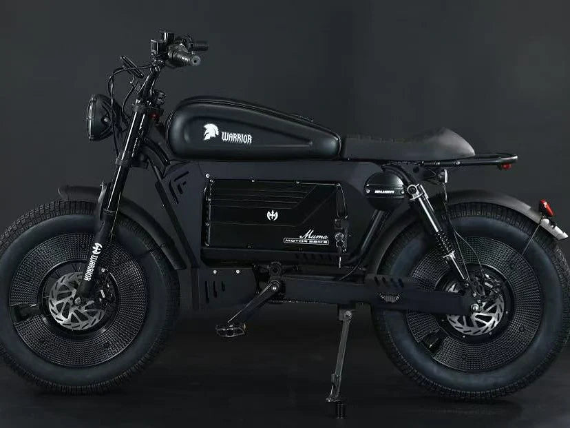 SoverSky Black Warrior Electric Fat Tire Bike