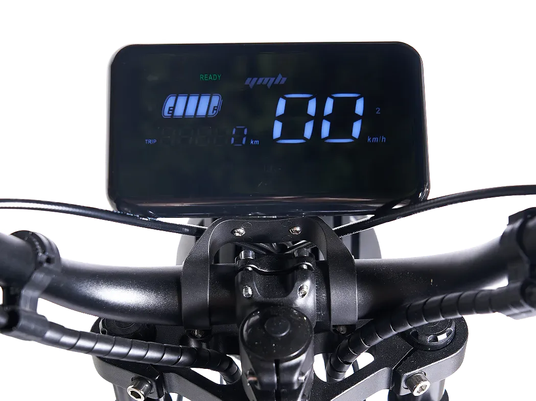SoverSky Black Warrior Electric Fat Tire Bike
