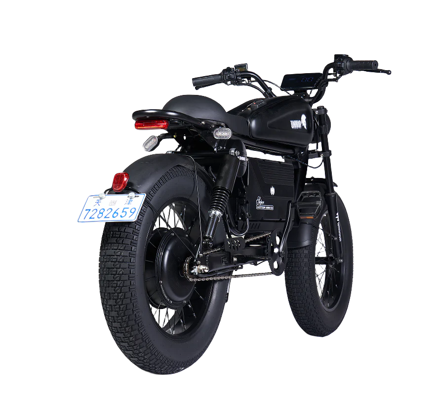 SoverSky Black Warrior Electric Fat Tire Bike