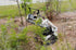 Baumalight MS548 Skid Steer Forestry Mulcher | 48" Brush Mulcher Attachment