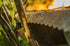 Baumalight MP348 Tractor Brush Mulcher