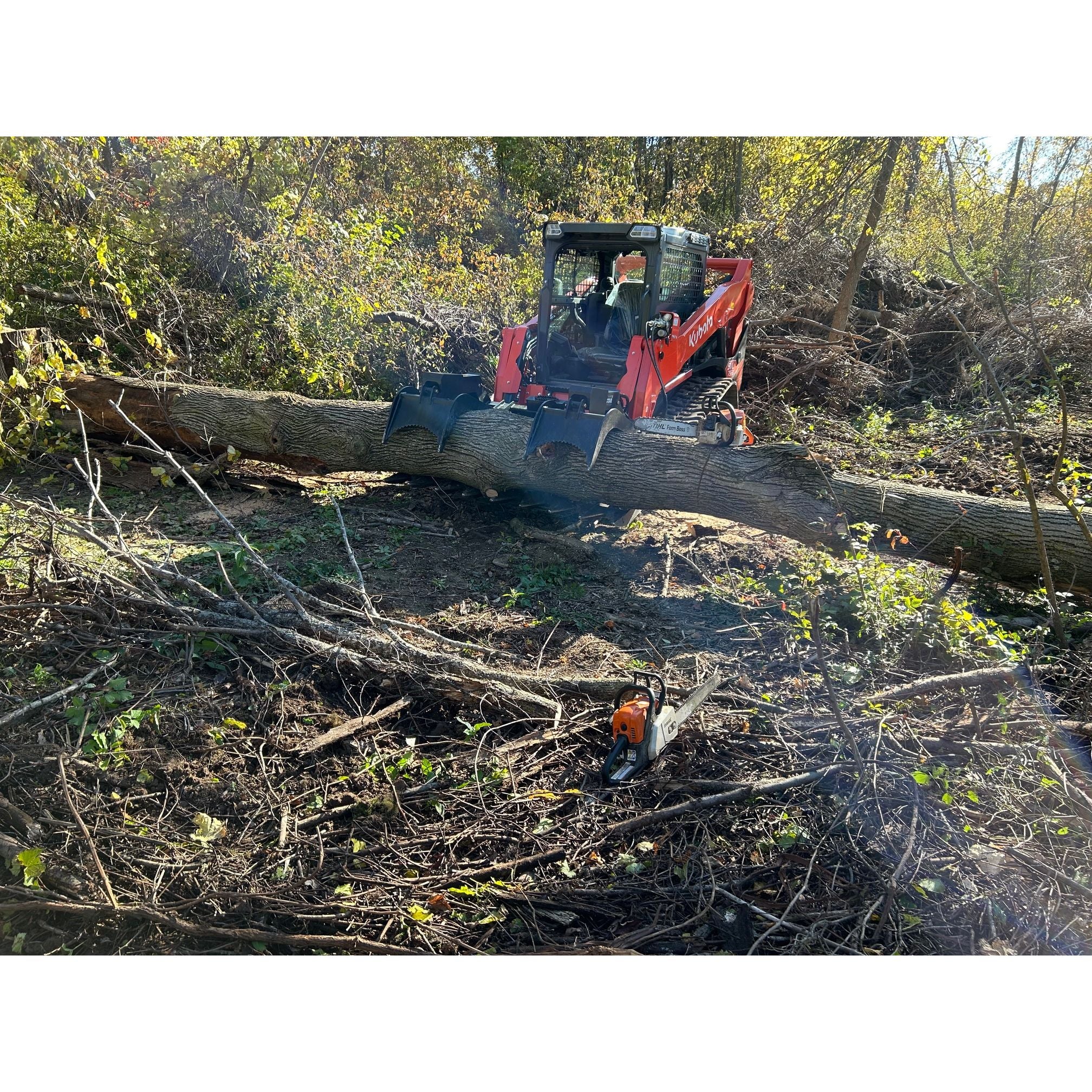 Star Industries Root Grapple Buckets