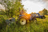 Baumalight MP348 Tractor Brush Mulcher